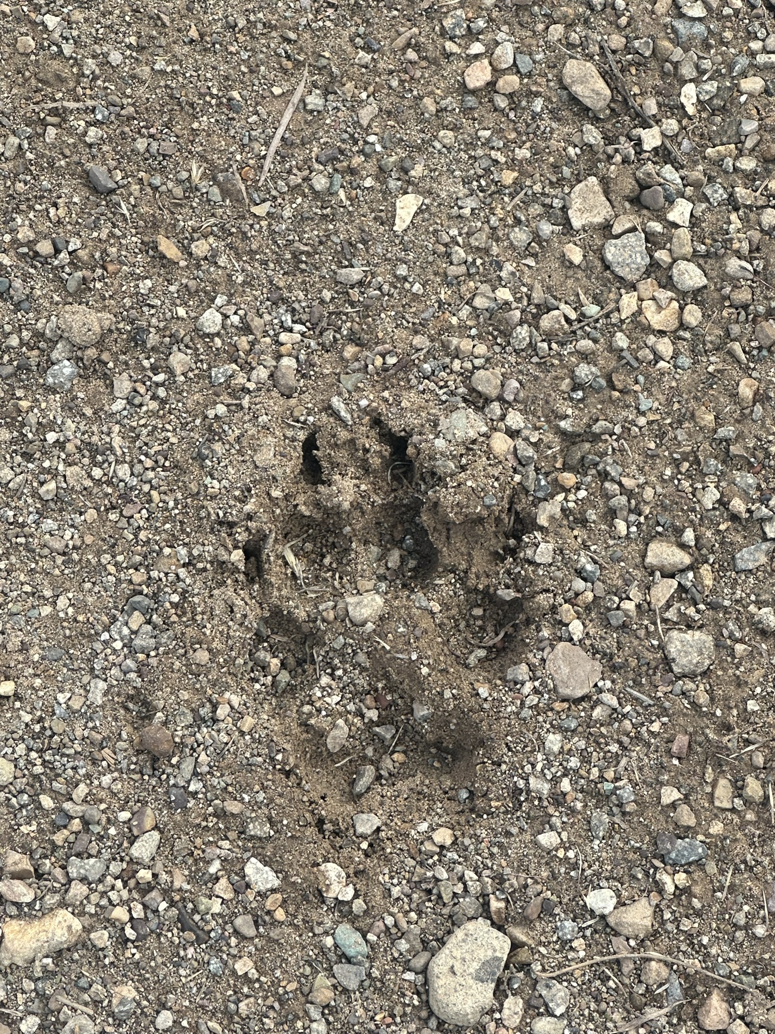 United States-National Parks-Other - Image 3292